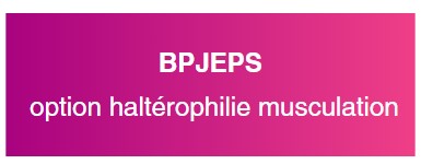 BPJEPS BPJEPS